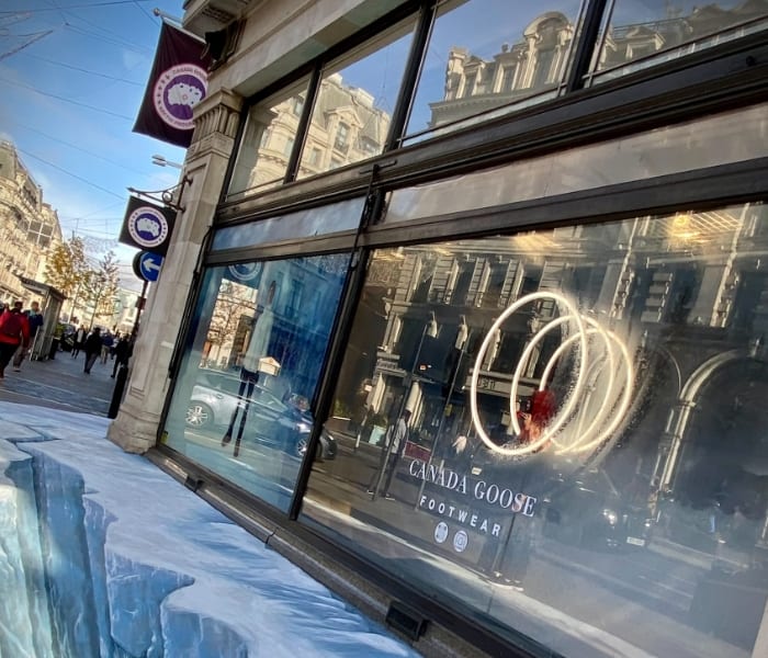 canada-goose-slide01