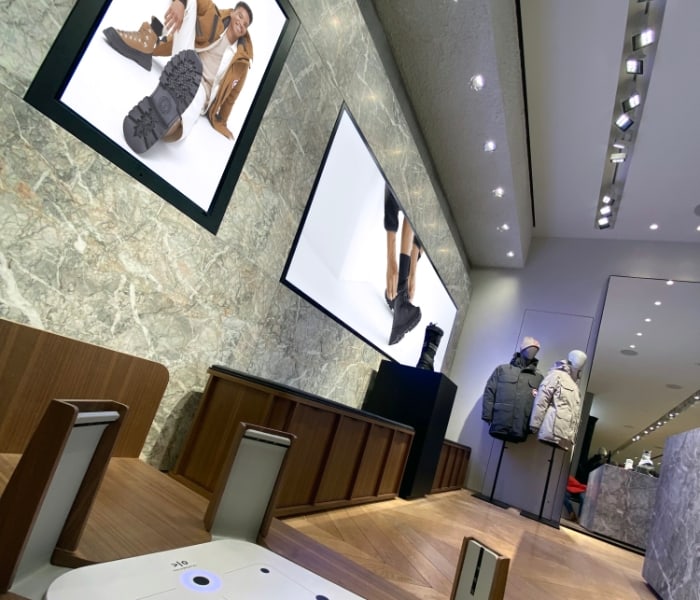 canada-goose-slide04